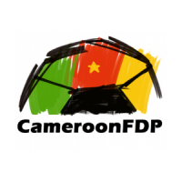 Cameroon football development program