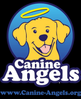 Canine angels service teams