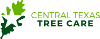 Central texas tree care