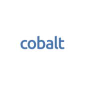 Cobalt partners ltd