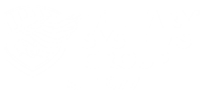 Military Systems Group, Inc.