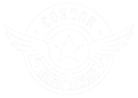 Condor electronics corp