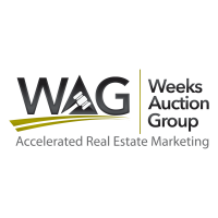Consolidated auction group