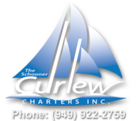 Curlew charters