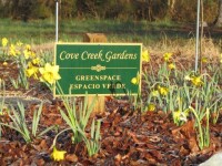 Cove creek gardens
