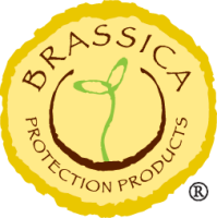 Brassica Protection Products