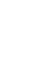 jardineria agapanthus