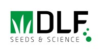 Dlf - your energy source