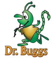 Dr. buggs exterminators