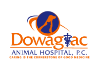 Dowagiac animal hospital