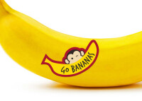 Go Bananas Hawaii, Inc.