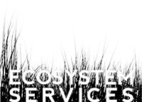 Ecosystem services, llc - va