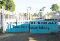Ragati Tea Factory