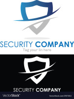 Entry shield security