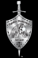 Equites protection services