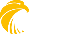 Falcon power, inc.