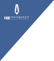 Fase consulting