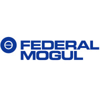 Federal mogul gmbh