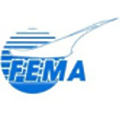 Fema airport