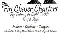 Fin chaser charters