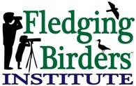 Fledging birders institute