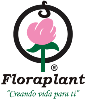 Floraplant, s.a. de c.v.
