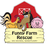Funny farm rescue
