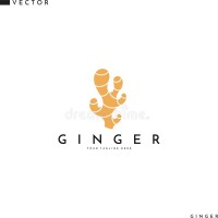 Ginger roots photography