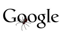 Googlespider
