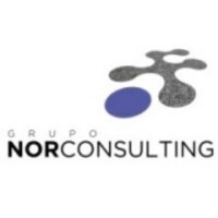 Grupo norconsulting