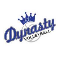 Adidas Team Dynasty Volleyball