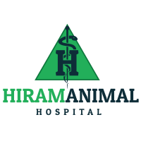 Hiram animal hospital, inc.