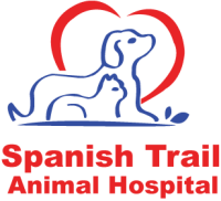 Iberia animal clinic