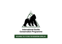 International gorilla conservation programme