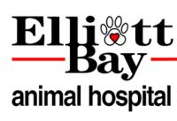 Interbay animal hospital