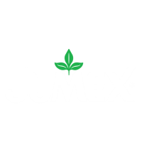 Grupo jumex