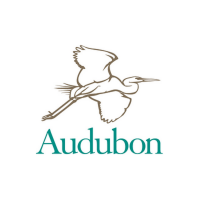 AudubonBoston