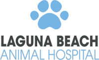 Laguna beach animal hospital