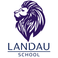 Landau school