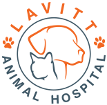 Lavitt animal hospital