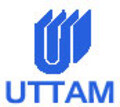 Uttam Strips Ltd.
