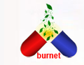 Burnet Pharmaceuticals Limited