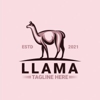Llama pictures