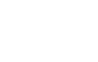 Lotus financial investment co.