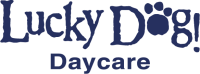 Lucky dog daycare & boarding