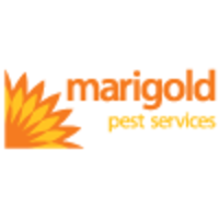 Marigold pest services of nashville