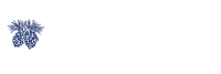 Maine health care association