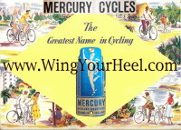 Mercury cycling