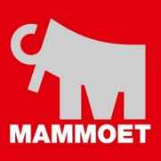 Mammoet USA South Inc.