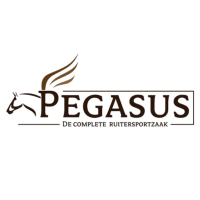 Pegasus Ruitersport te Appingedam